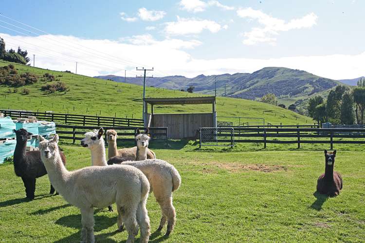 53 Western Valley Road Little River_10