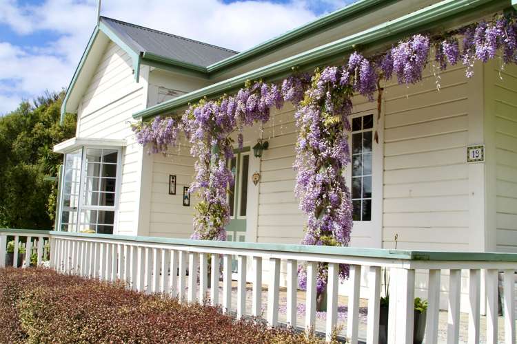 19 Milton Terrace Picton_2