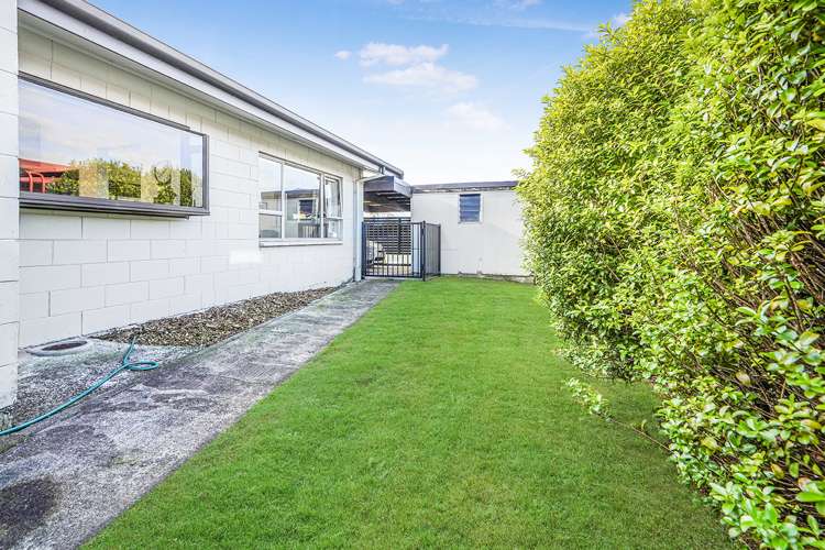 21a Graham Street Hamilton East_16