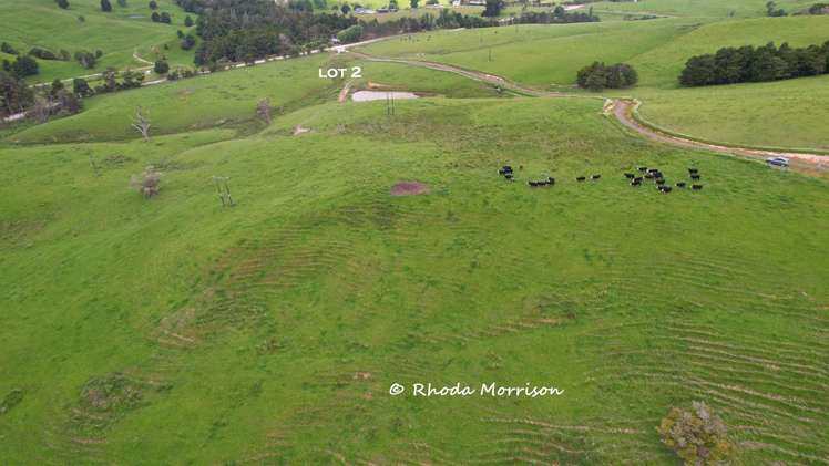 Golden Stairs Rd Maungaturoto_28