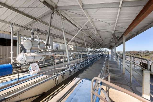 229 Candy Road Te Awamutu_4