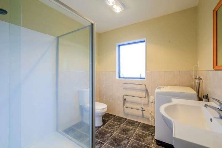 117b Owairaka Avenue Mount Albert_8