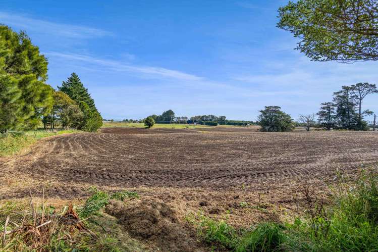 40 Rona Road Brixton_17