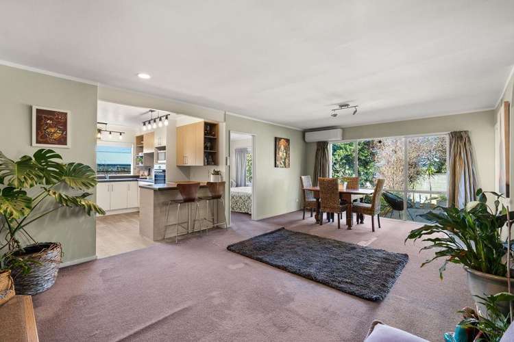 33b Robins Road Judea_3