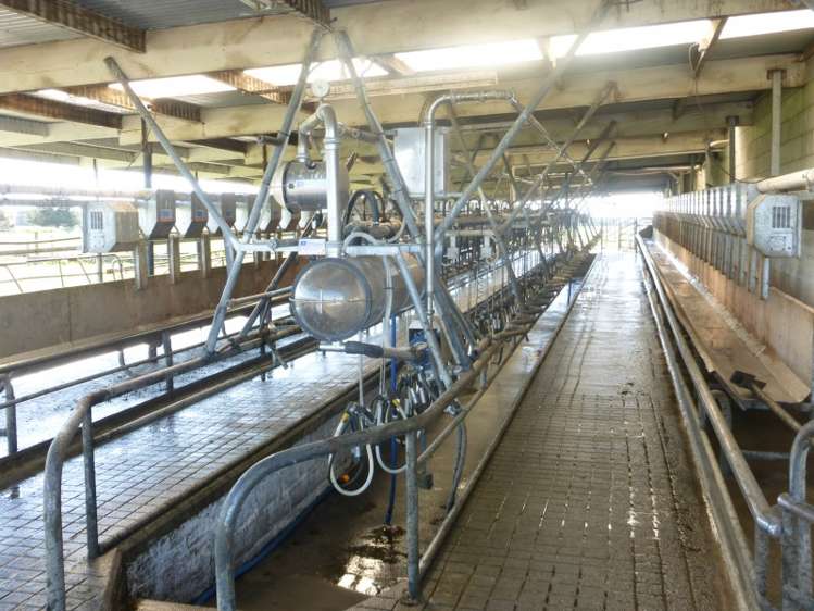 282 Braemar Lauriston Road Lauriston_7