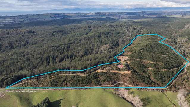 441 Waiwhero Road Ngatimoti_2