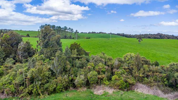 44 Te Rauamoa Road Otorohanga_30