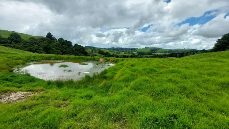Lot/2 Wearmouth Road Paparoa_8