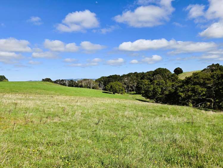 6320 State Highway 12 Dargaville_15