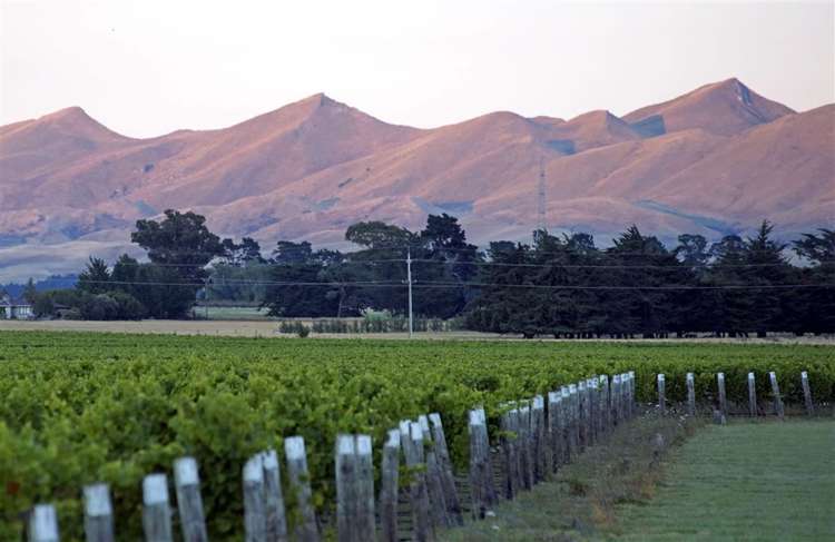 157 Church Road Waipara_17