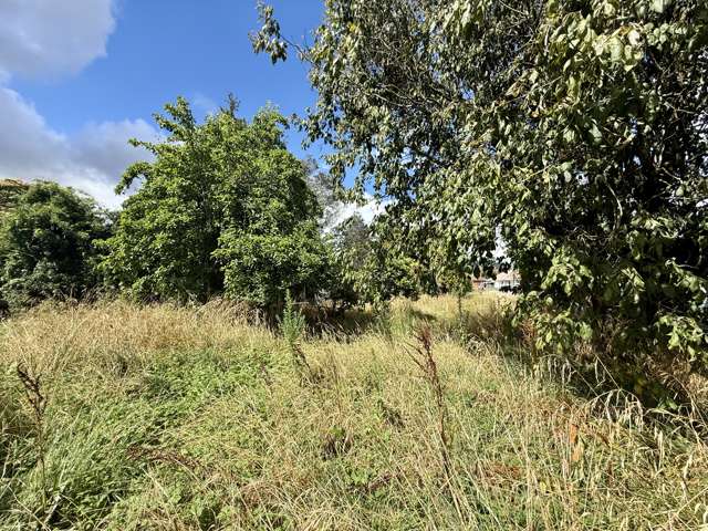 8 Totara Crescent Taumarunui_1