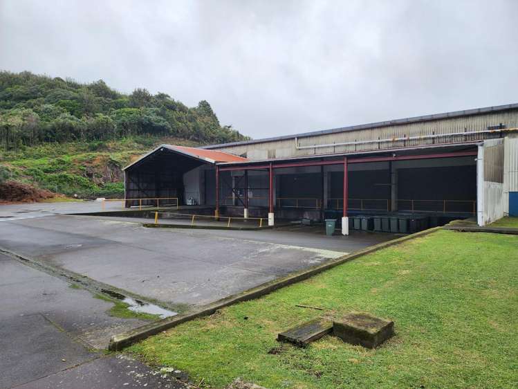 101 Collins Avenue Tawa_6