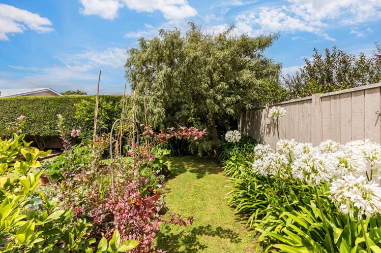 41 Royal Street Upper Hutt Central_19