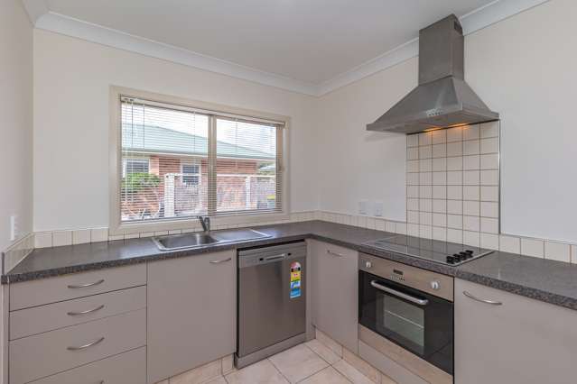 18a Reeve Street Levin_3