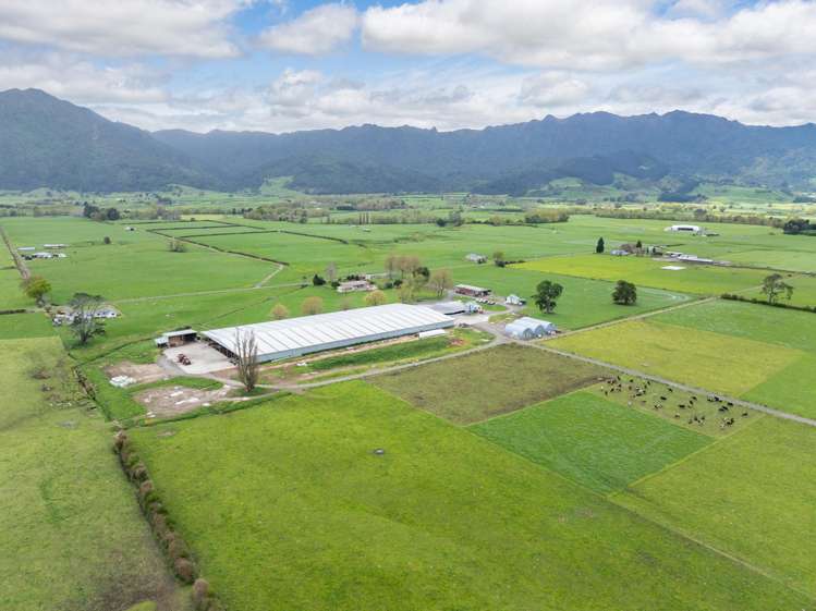 McKinley Road Te Aroha_10