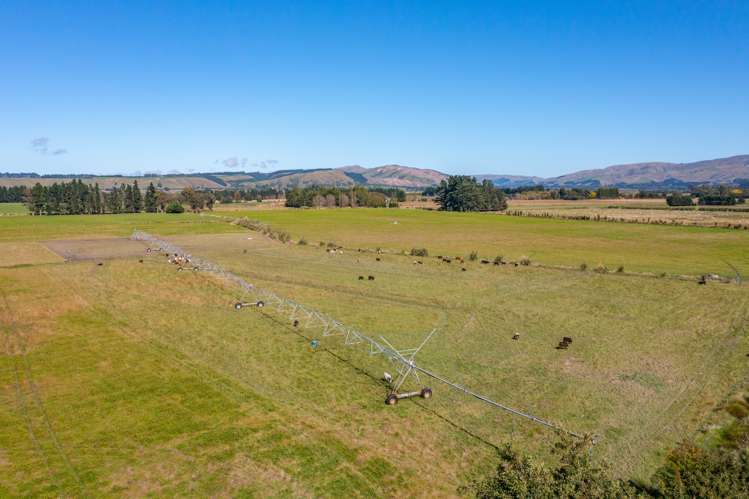 359 Hurunui Mouth Road Domett_9