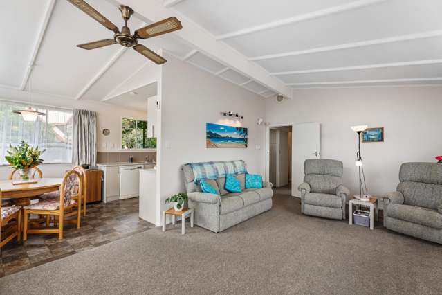 19 Cradock Street Avondale_4