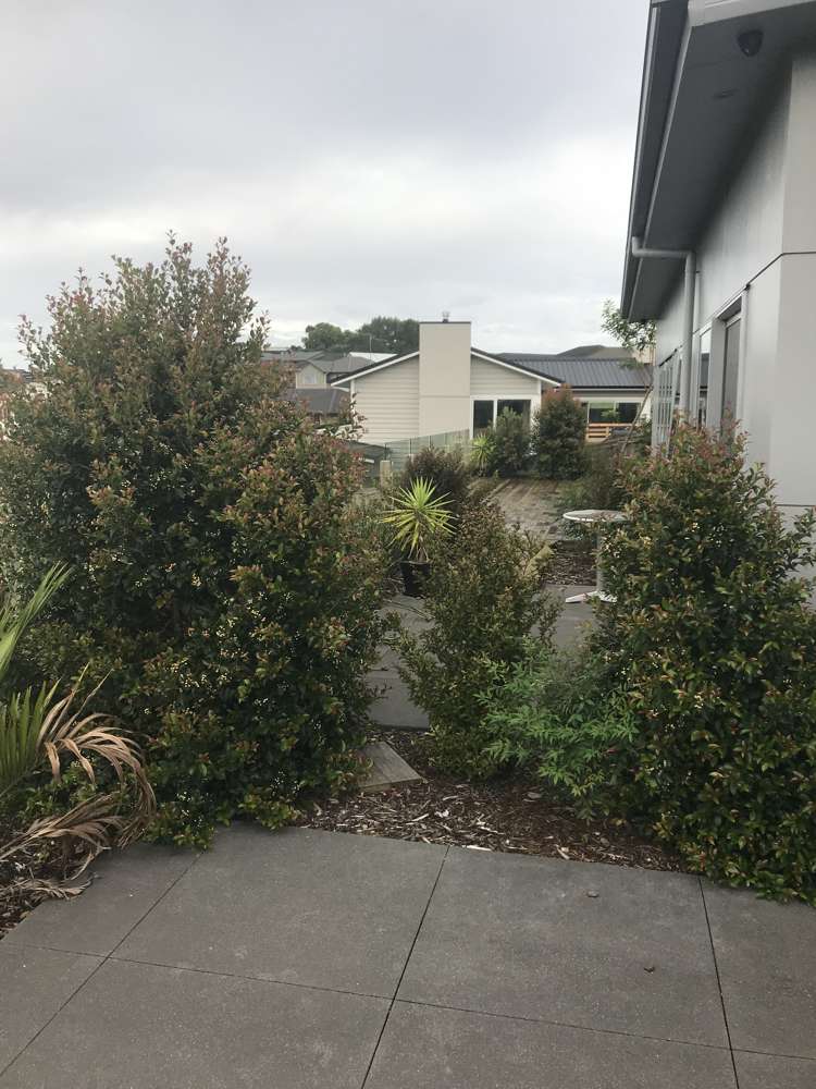 33 Ina Ville Drive Pukekohe_6