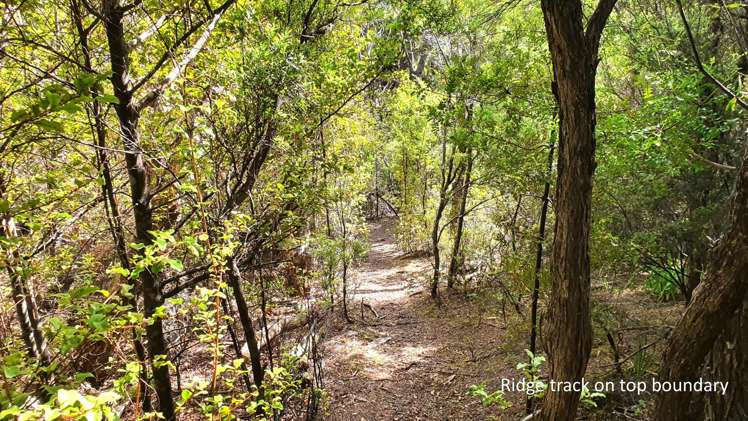 Lot 2/DP78717 North Cove Kawau Island_13