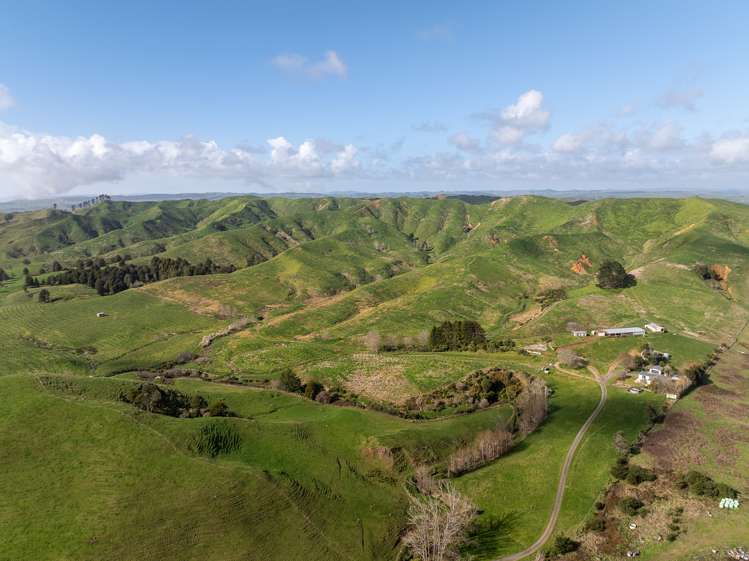 Lot 1 550 Dixon Road Te Akau_17