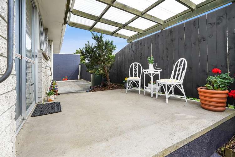 25b Leyton Place Nawton_6