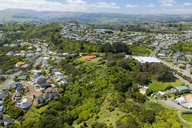 1A Whitford Brown Avenue Papakōwhai_6
