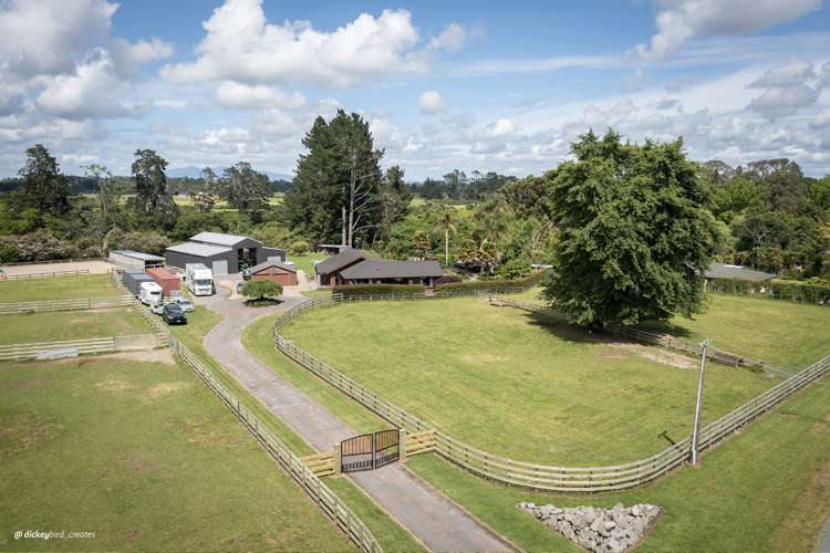 607 Bruntwood Road Tamahere_18