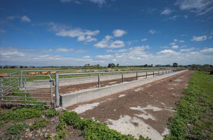 1067 Hauraki Road Paeroa_5