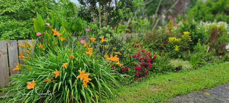 10 Franklin Road Paparoa_30