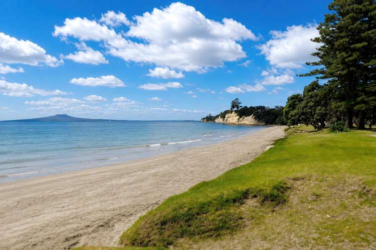 E8/30 Bute Road Browns Bay_17