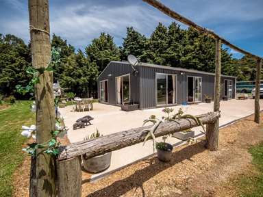 1145a Ngapipito Road_2