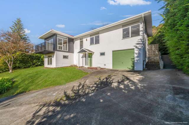 Durie Hill Delight with Treetop Views!