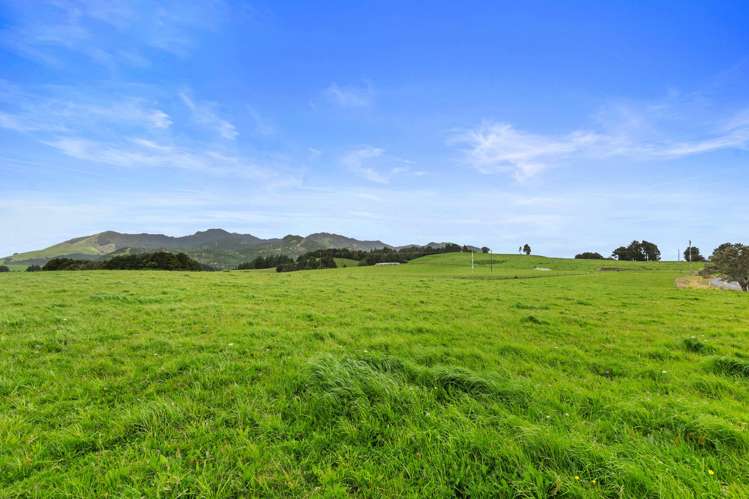 Pukehuia Road Tangiteroria_13