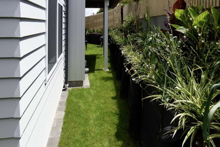 8a Esme Place Matua_32