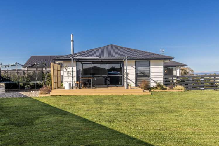 39 George Street Bulls_33