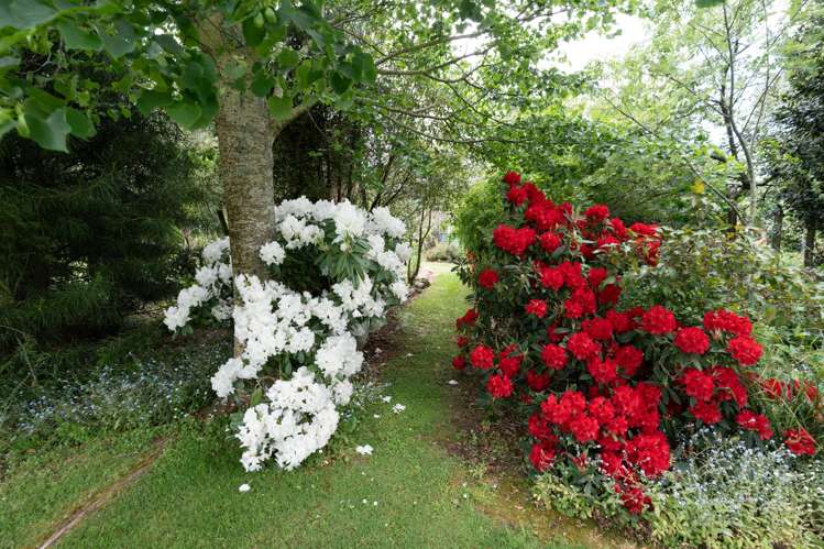 48 Railway Terrace East Sheffield_22