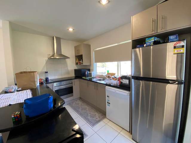 62 Dale Crescent Pakuranga_2