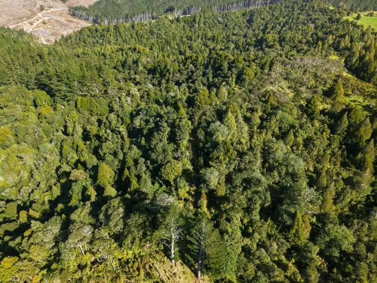 Otangaroa Road Mangamuka_8