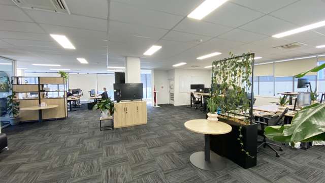 Level 1/60D Durham Street Tauranga Central_2