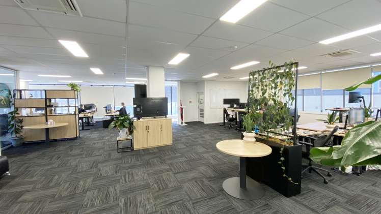 Level 1/60D Durham Street Tauranga Central_2