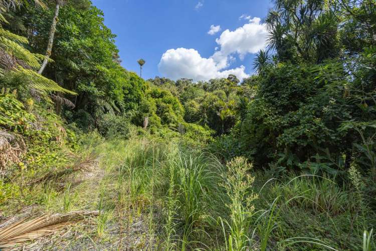 787 West Coast Road Oratia_11