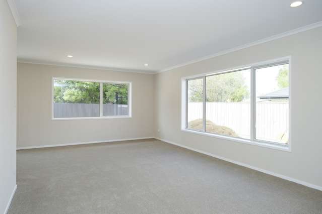 9a Dublin Street Dannevirke_2