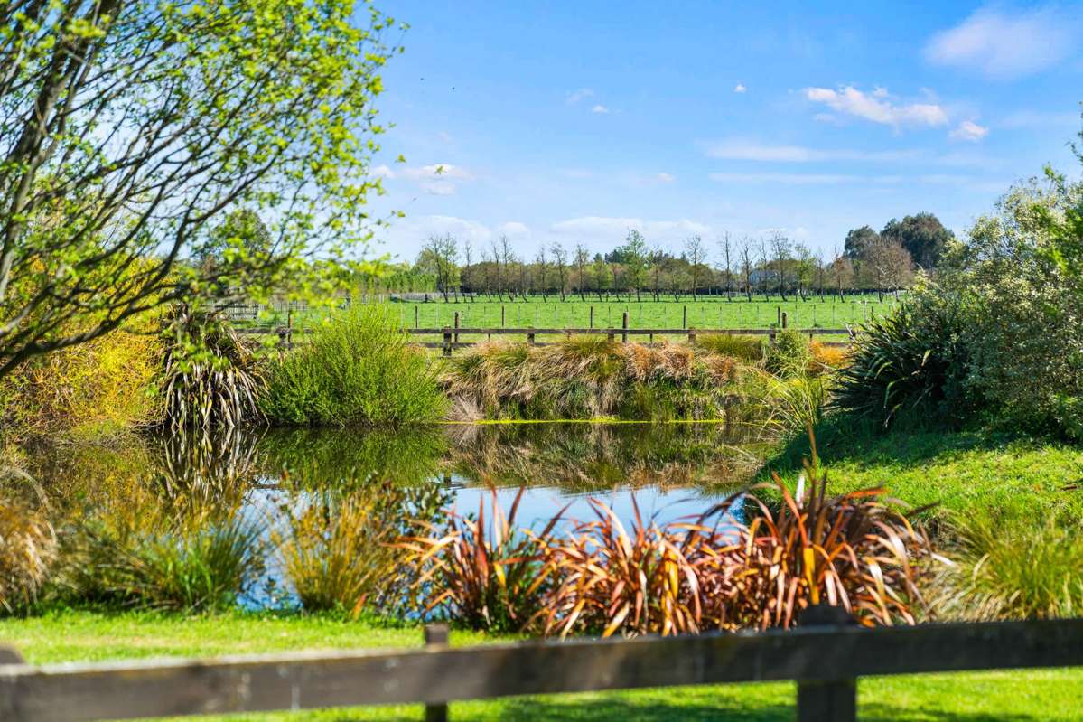 172A Manaia Road_3