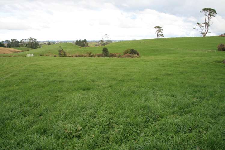 190 Lincoln Road Inglewood_11