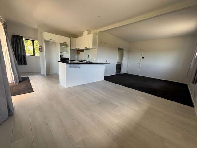 61 Jean MacKay Place Dairy Flat_3