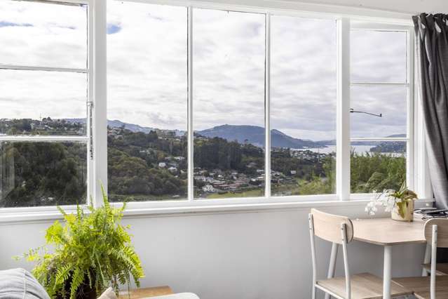 46 Waimea Avenue Calton Hill_1