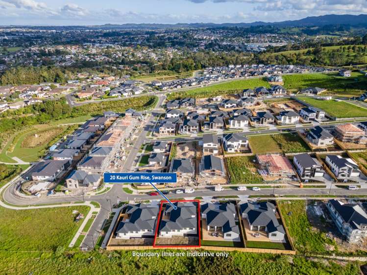 20 Kauri Gum Rise Swanson_27