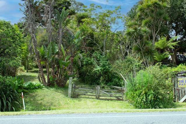 Bare section South of Whangarei