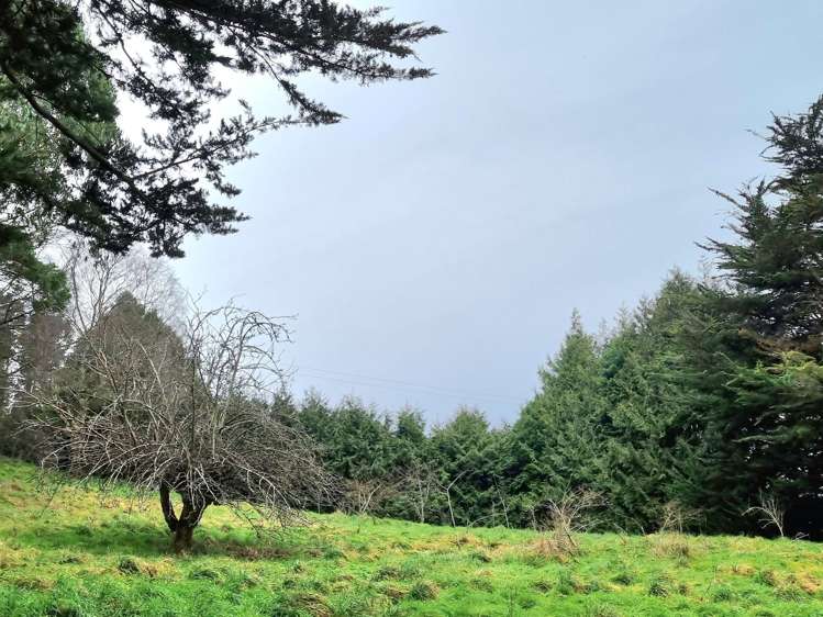 77 Romahapa Road Romahapa_25