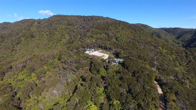 175 Parapara Valley Road Parapara_13